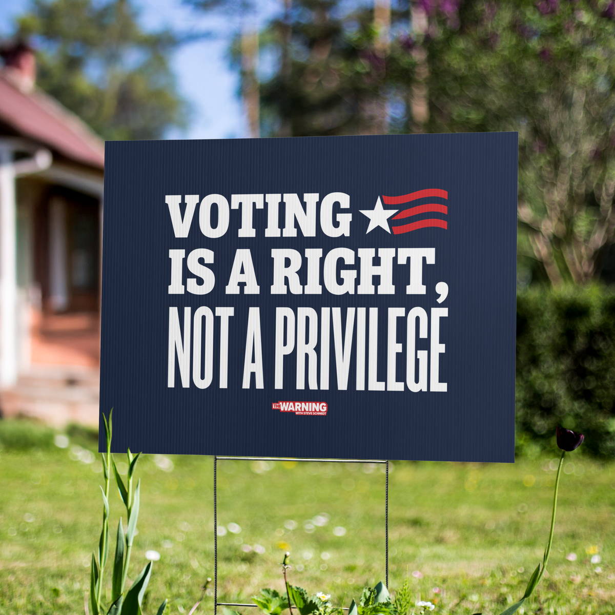 Voting is a Right Yard Sign